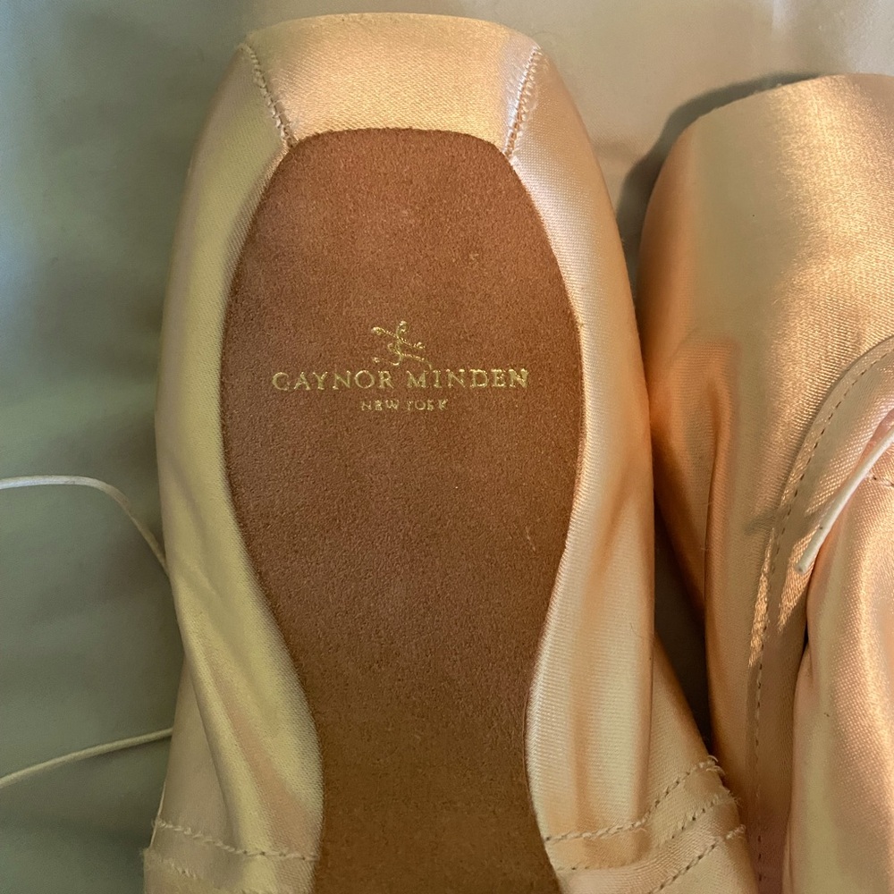 Brand new pointe shoes, one pair or two!